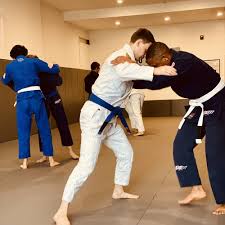 Image result for Ju Jitsu Tavistock