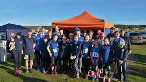 Image result for Wee County Harriers