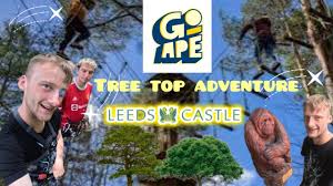 Image result for Go Ape! Leeds Castle