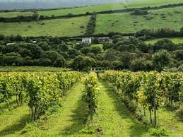 Image result for Withiel