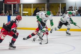 Image result for Basingstoke Bison Ice Hockey Club