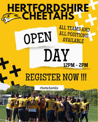 Image result for Chiltern Cheetahs American Football Club