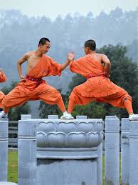 Image result for Kyu Shin Kan, Leicester Aikido