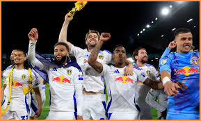 Image result for Leeds juniors afc