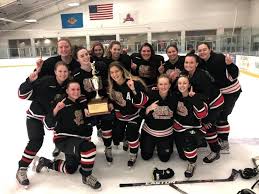 Image result for Frome Ladies Hockey Club