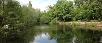 Image result for Woking & District Angling Association
