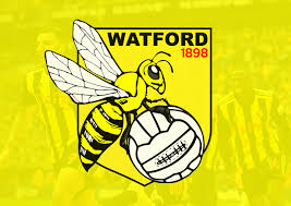 Image result for Watford Fencing Club