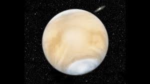 Image result for venus