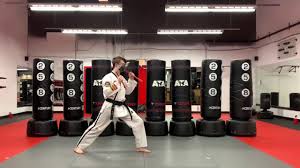 Image result for ATA Martial Arts Maple Ridge