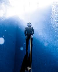 Image result for Blue Water Freediving School