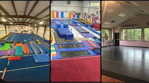 Image result for Mo-Gylity Gymnastics Club