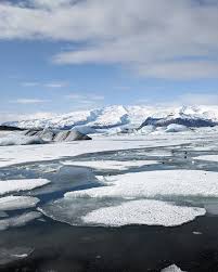 Image result for Ildblomkarse