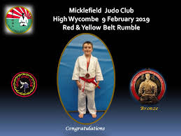 Image result for Micklefield Judo Club