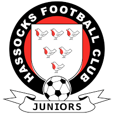Image result for Jarvis Brook Juniors Football Club