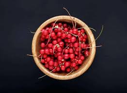 Attēlu rezultāti vaicājumam “Schisandra chinensis”