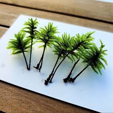 Attēlu rezultāti vaicājumam “Climacium dendroides sporophyte”