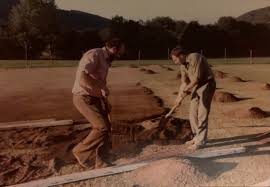 Image result for Bronwydd Cricket Club