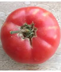 Afbeeldingsresultaat voor 1884 purple tomato