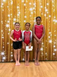 Image result for Sutton Gymnastics Academy