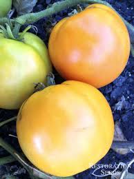 Afbeeldingsresultaat voor earl faux tomato