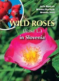 Attēlu rezultāti vaicājumam “Rosa subcanina”