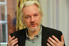 Image result for julian assange