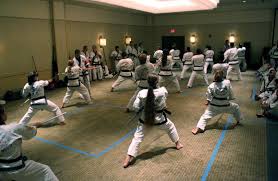 Image result for moray coast tang soo do