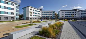 Image result for University Of Reading Ac