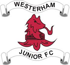 Image result for Jarvis Brook Juniors Football Club