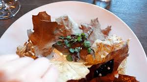 Image result for noma mad