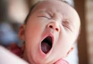 Yawn - April 25, 2015 Word Of The Day | Britannica Dictionary
