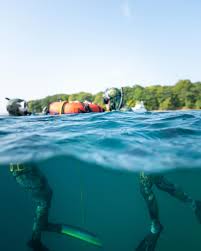 Image result for Blue Water Freediving School