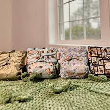 Attēlu rezultāti vaicājumam “Diaperis boleti imago”