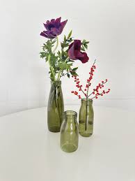 Attēlu rezultāti vaicājumam “Gypsophila fastigiata bud”