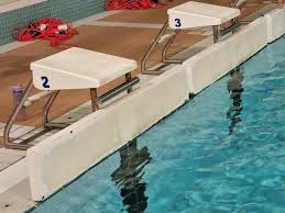 Image result for Kingsbridge Kingfishers Swimming Club