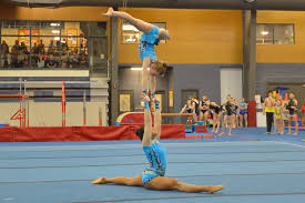 Image result for Aero Gymnastics Club