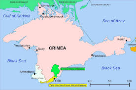 Attēlu rezultāti vaicājumam “Diderma testaceum sessile”