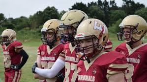 Image result for Ipswich Cardinals American Football Club