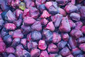 Attēlu rezultāti vaicājumam “Trapaceae”