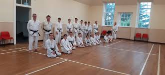 Image result for Levern Tora-Kai Karate Club