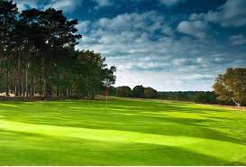 Image result for Blackmoor Golf Club