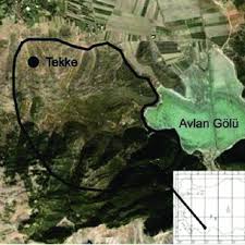 Attēlu rezultāti vaicājumam “Diderma deplanatum spores”