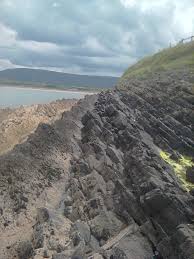 Image result for Carrick Angling Club