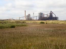 Attēlu rezultāti vaicājumam “Drepanocladus polygamus”