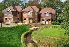 Image result for Thames Ditton Schools Fc