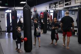 Image result for Bully Me Now Mixed Martial Arts