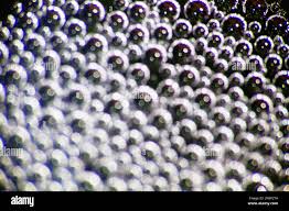 Attēlu rezultāti vaicājumam “Nostoc pruniforme”