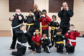 Image result for Northern Freestyle Karate Association
