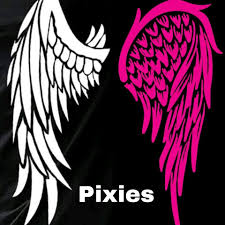Image result for Erewash pixies netball club