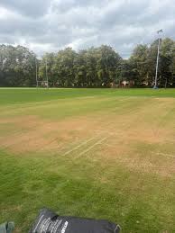 Image result for Hillhead Cricket Club
